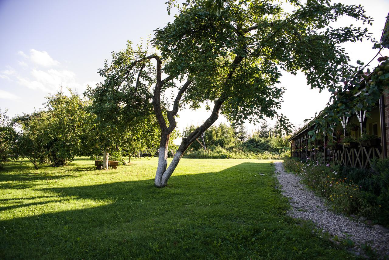 Siedlisko Sabinowo Węgorzewo Exterior foto